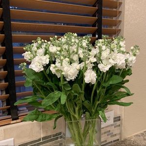 Meet your Posher, Becky